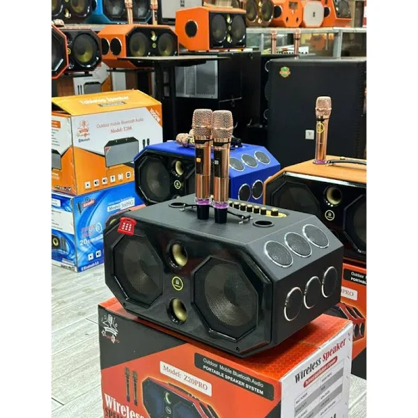 Loa Mini xách tay 2 Bass 2 trung HQ lục giác